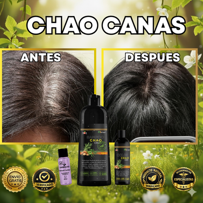 Chao Canas + Ampolla + Piel de Oro: Resultados Visibles